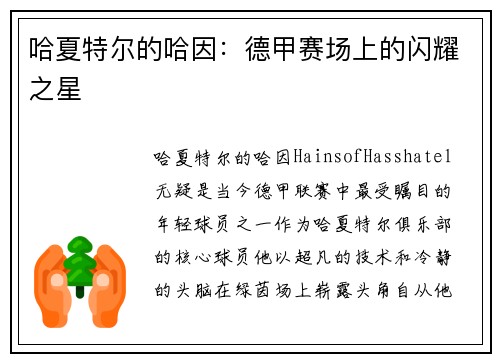 哈夏特尔的哈因：德甲赛场上的闪耀之星